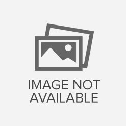 Giày Thể Thao Nam Gucci Ace Embroidered Sneaker White Leather With Bee Màu Trắng Size 36.5