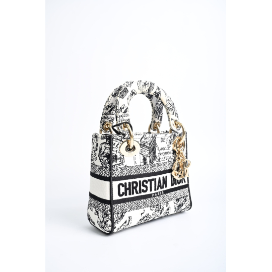 Dior Lady D-Lite Small Plan de Paris Embroidery Black and White Gold Hardware