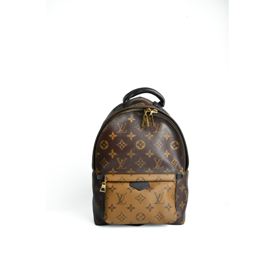 Louis Vuitton Palm Springs Backpack Mini Monogram