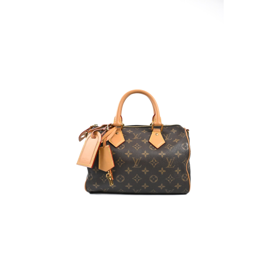 LV Speedy P9 Monogram