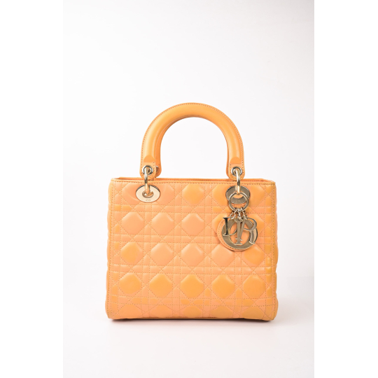 Dior Lady Cam