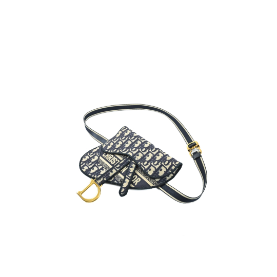 Dior Saddle 