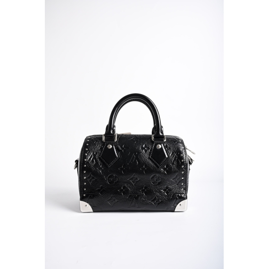 Louis Vuitton Speedy Trunk 20