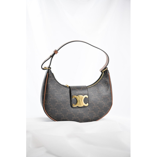 Celine Ava Triomphe Canvas Brown